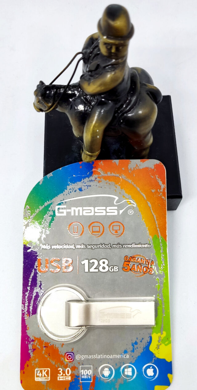 Memoria USB G-Mass de 128 GB